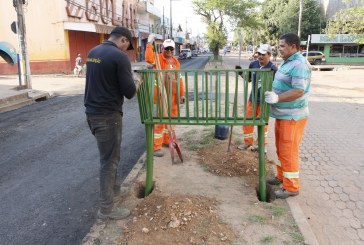 LIMPEZA PÚBLICA: POSTURA E SANEAMENTO AMBIENTAL IMPLANTAM LIXEIRAS EM AVENIDAS DA CIDADE