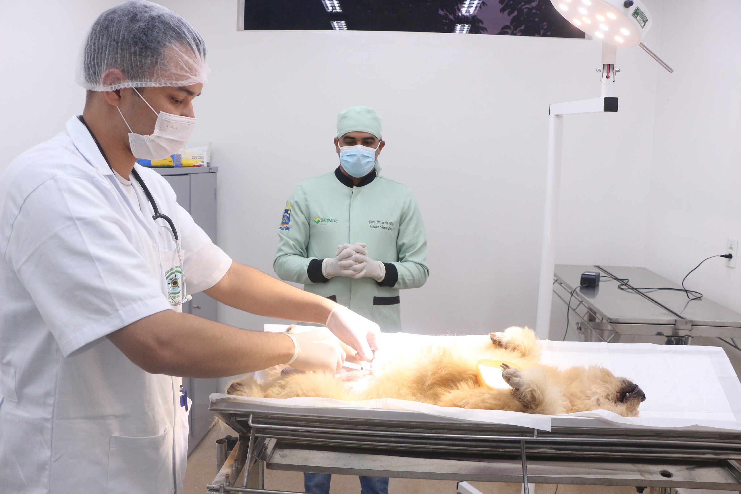 CCZ: Agendamento para castração de cães e gatos será nos dias 25 e 26 de julho