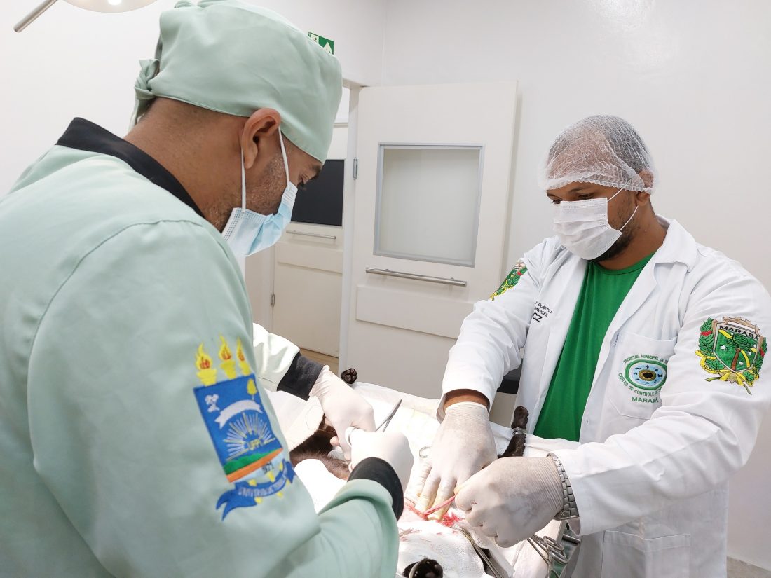 CCZ: Agendamento para castração de cães e gatos será nos dias 23 e 24 de maio