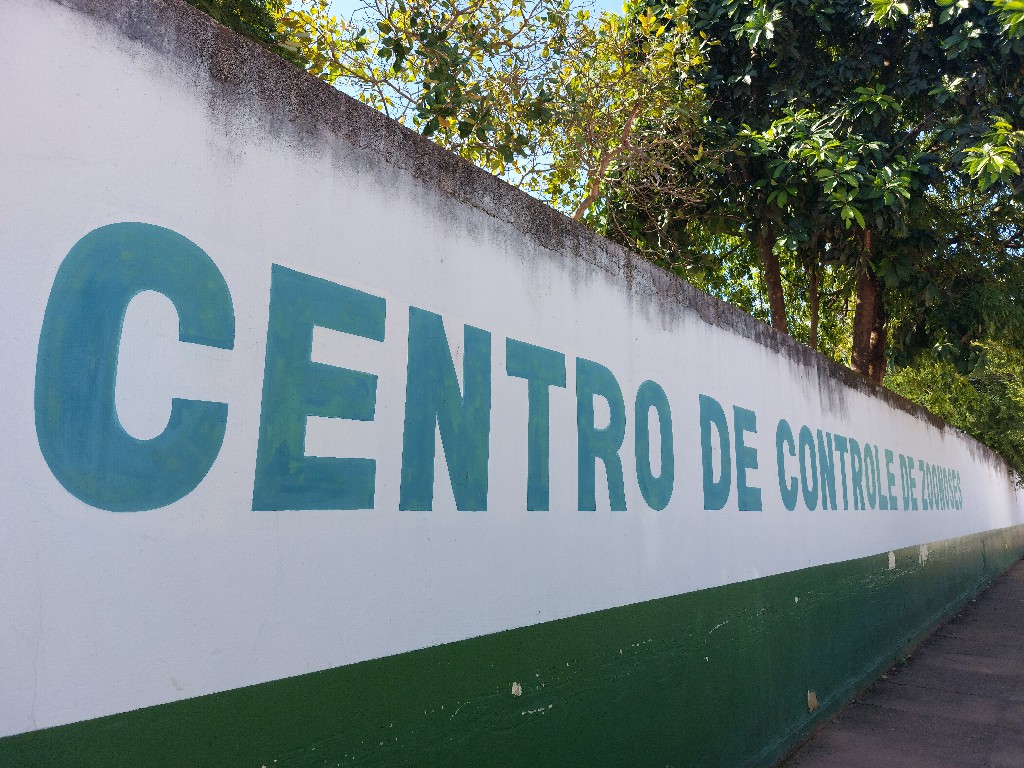 CCZ: Agendamento para castração de cães e gatos será nos dias 27 e 28 de março