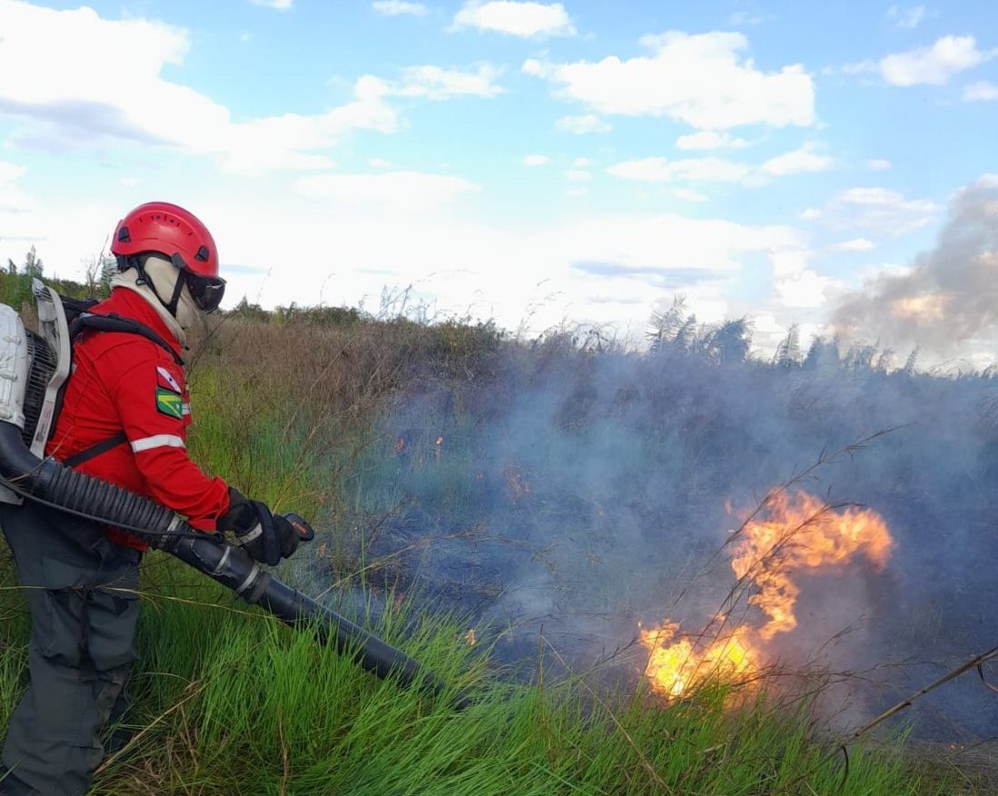 Defesa Civil: Brigada combate mais de 100 focos de incêndio em Marabá entre julho e setembro