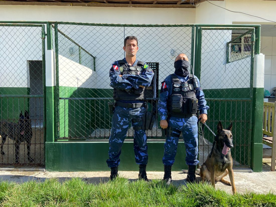 GMM: Cão do GOC ajuda a encontrar outro fuzil em veículo usado por fugitivos de Mossoró
