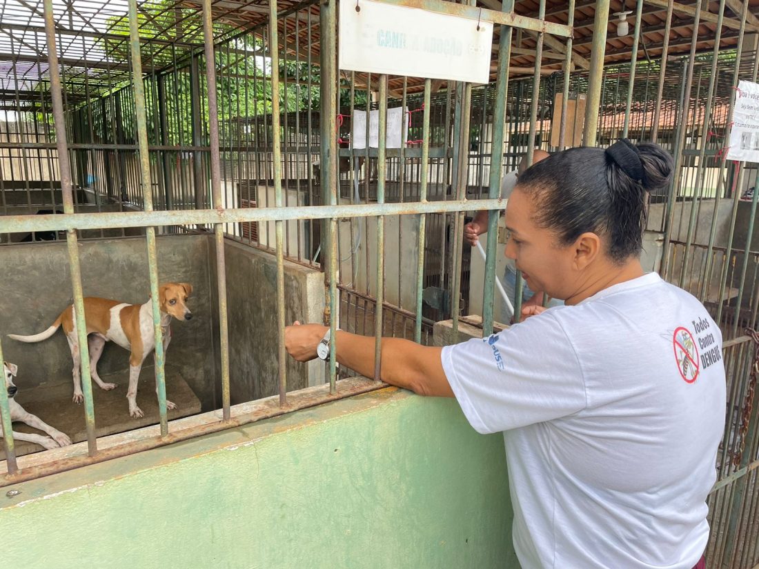 CCZ: Adoção de animais transforma a vida de quem os acolhe