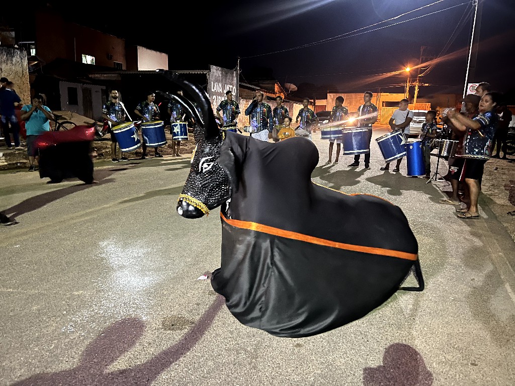 Cultura: Na Arena Junina, Boi Brilho da Noite levará mistura de ritmos para representar o KM 7