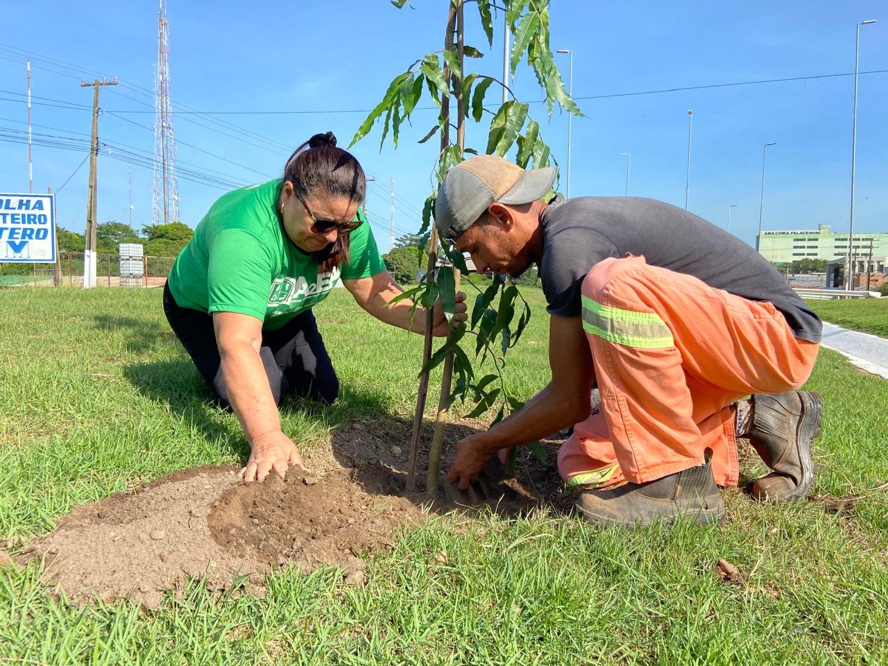 Semma: Plantio de mudas no canteiro central da rodovia Transamazônica celebra Dia Mundial do Meio Ambiente