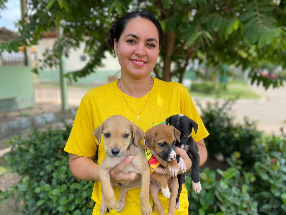 Saúde: CCZ disponibiliza animais para adoção com responsabilidade