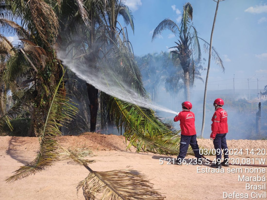 Defesa Civil: Equipe atuou no combate a 97 focos de incêndio de julho até início de setembro