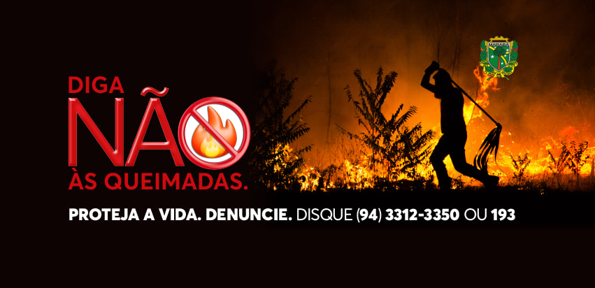 Defesa Civil: Brigadistas intensificam combate às queimadas no período seco