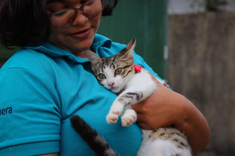 CCZ: Saiba como adotar cães e gatos com vacina e castração garantidas