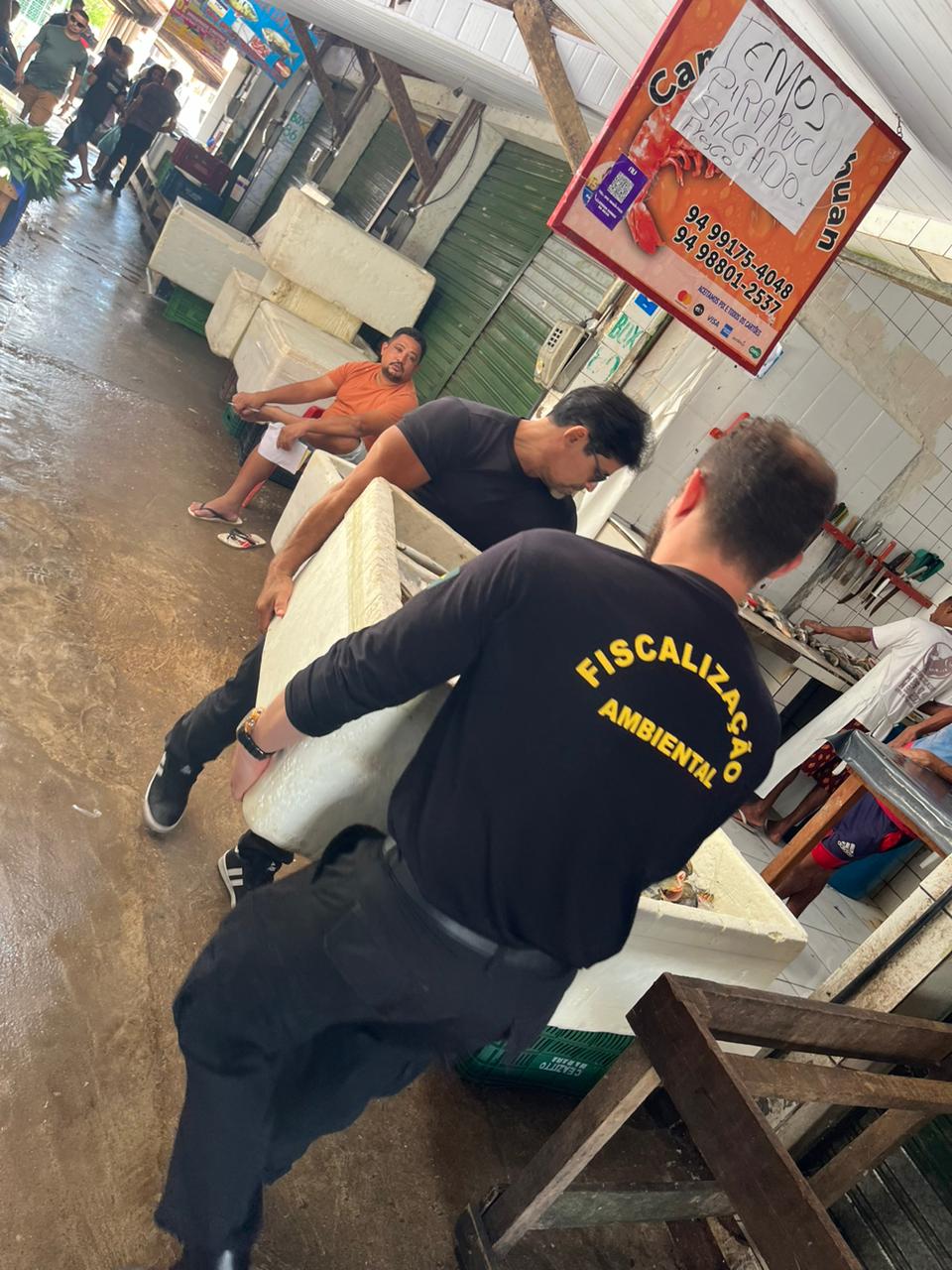 Defeso da Piracema: Semma com apoio da GMM apreende mais 335 kg de pescado ilegal na Feira da Folha 28
