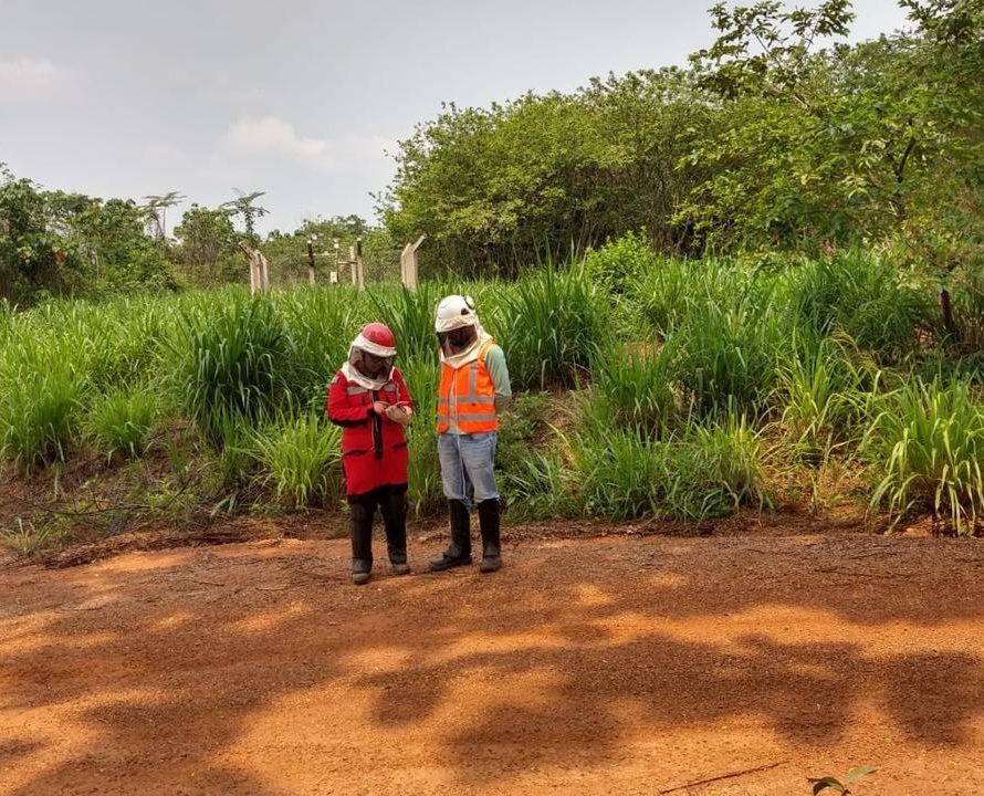 FCCM: Grupo de Arqueologia realiza pesquisas em Canãa dos Carajás