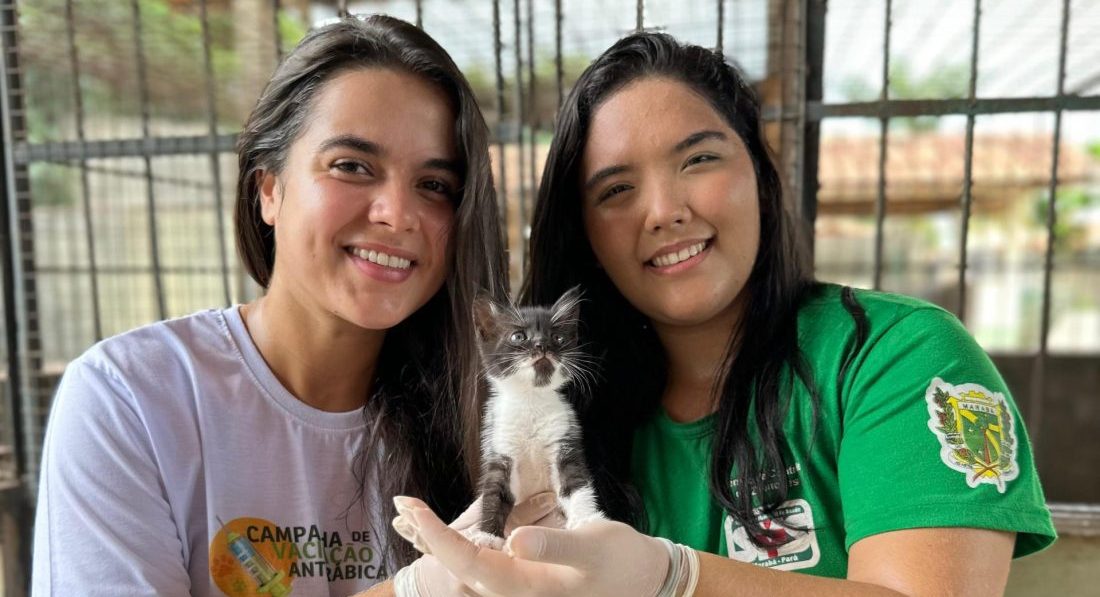 Saúde: CCZ disponibiliza cães e gatos para adoção