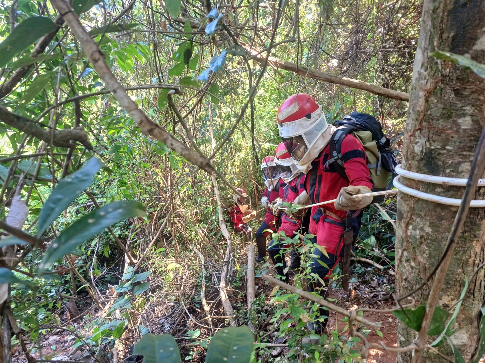 Foto: Reprodução/Prefeitura de Marabá - PA