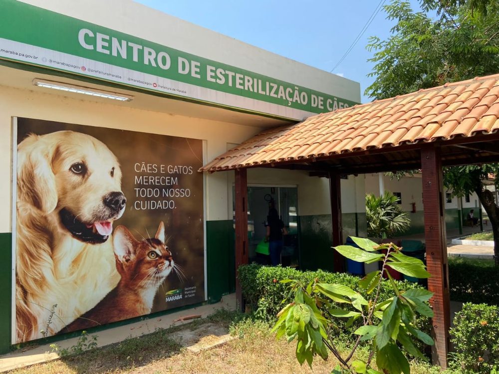 CCZ: Centro de Controle de Zoonoses de Marabá enfatiza adoção responsável de cães e gatos