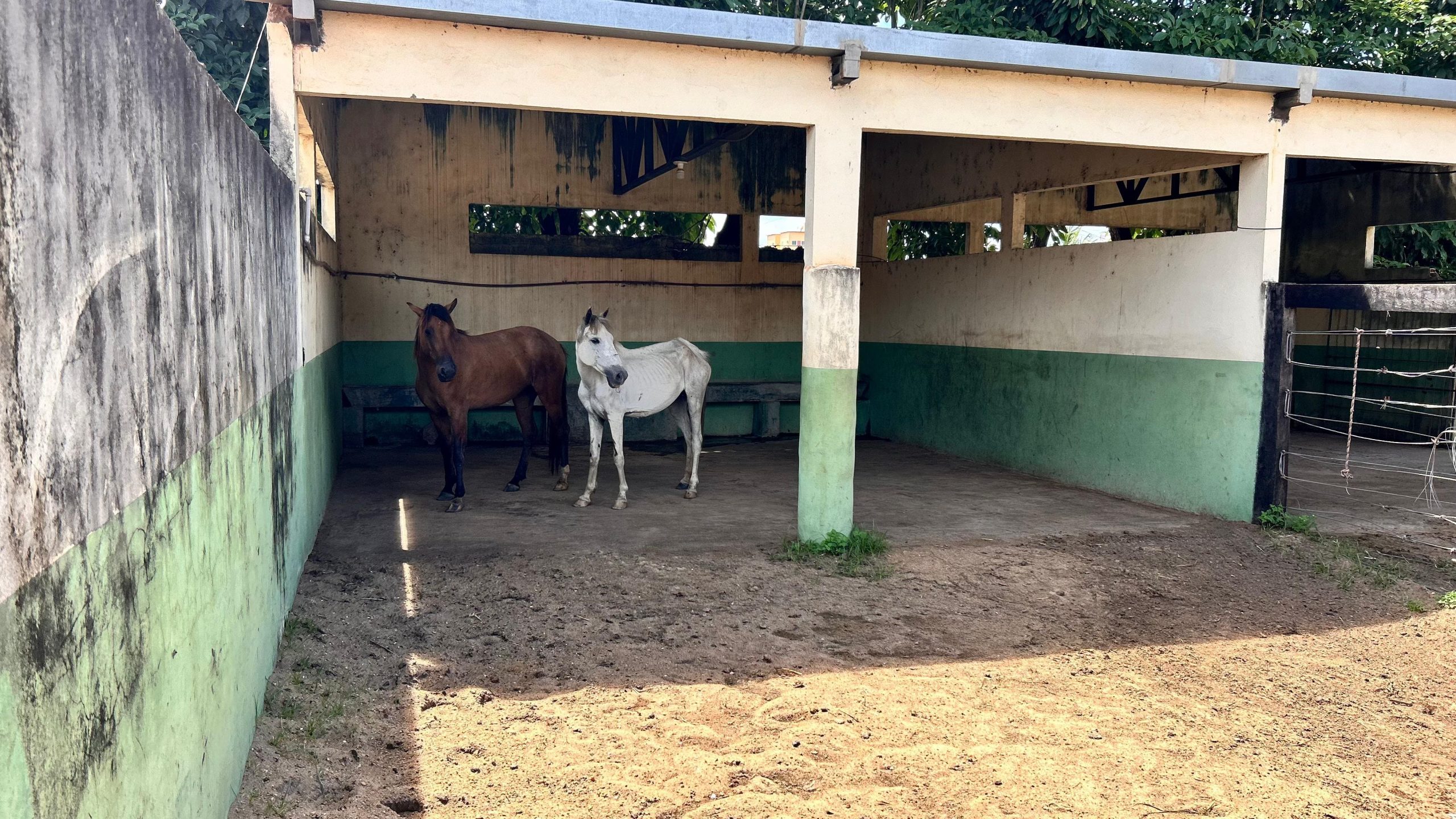 Foto: Reprodução/Prefeitura de Marabá - PA