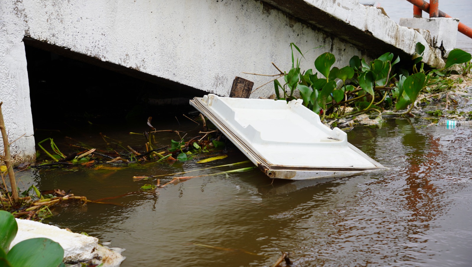 Foto: Reprodução/Prefeitura de Marabá - PA