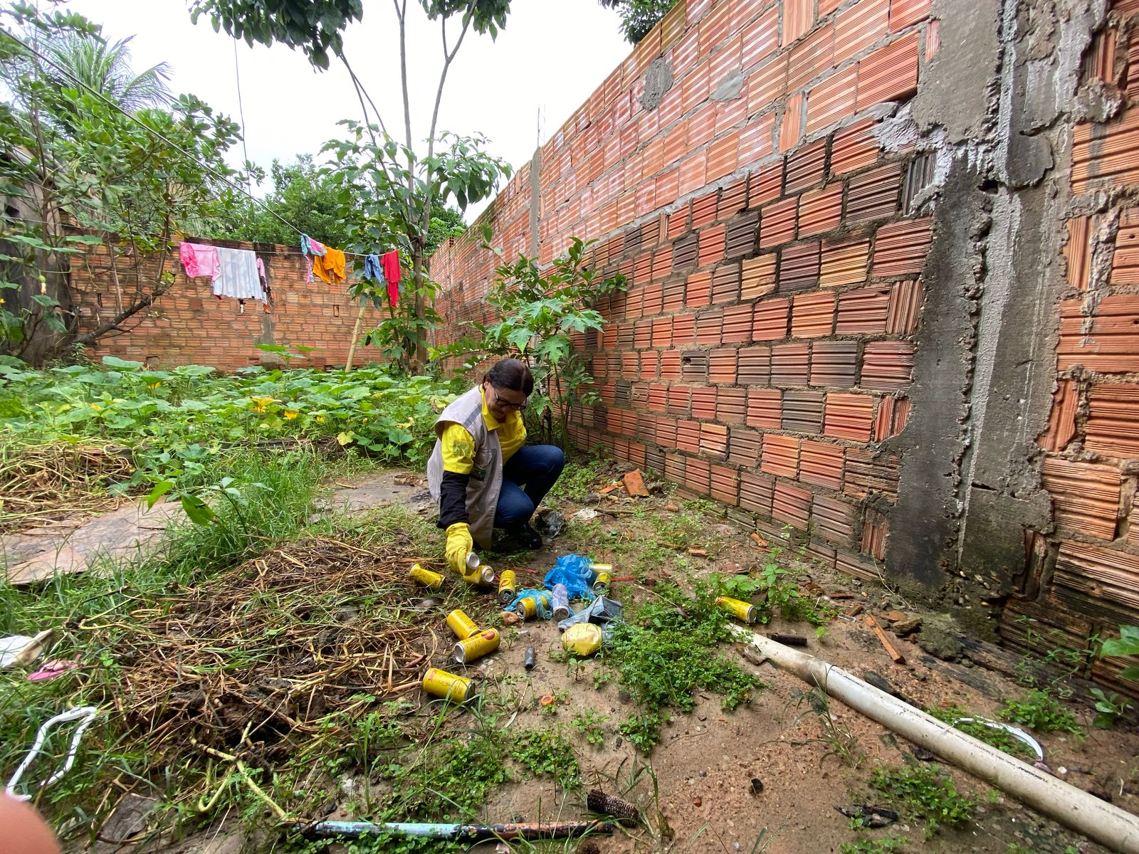 Foto: Reprodução/Prefeitura de Marabá - PA