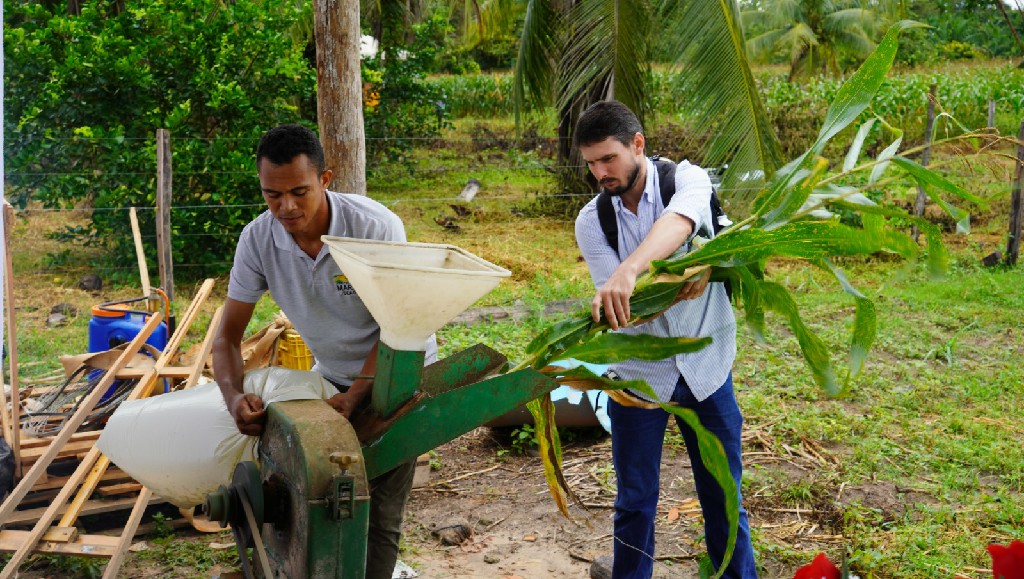 Foto: Reprodução/Prefeitura de Marabá - PA