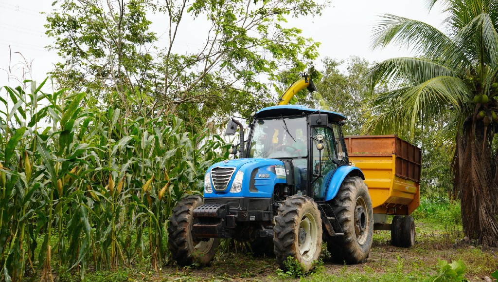 Foto: Reprodução/Prefeitura de Marabá - PA