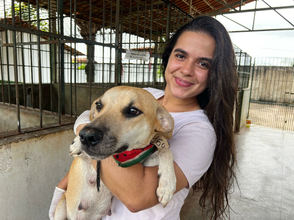 CCZ: Comemore o Dia Nacional dos Animais com a adoção responsável de um pet