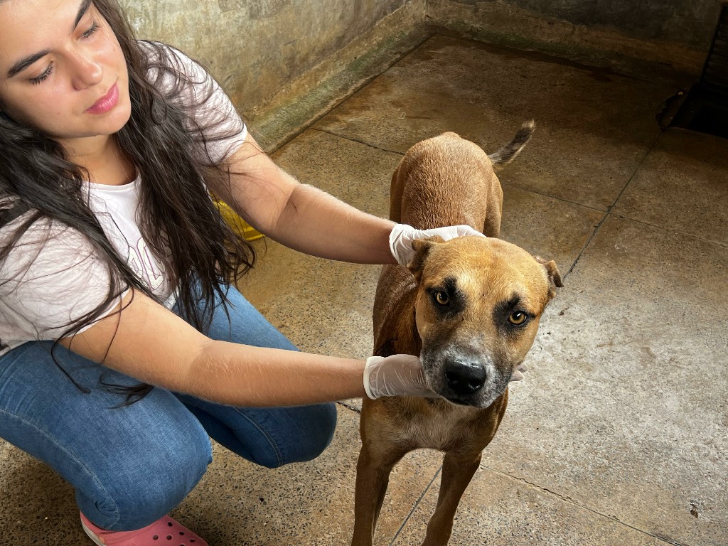 Foto: Reprodução/Prefeitura de Marabá - PA