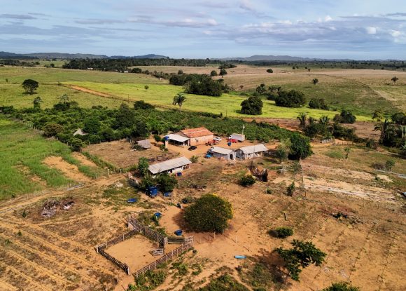 Agricultura: Seagri organiza Dia do Campo com produtores de mandioca