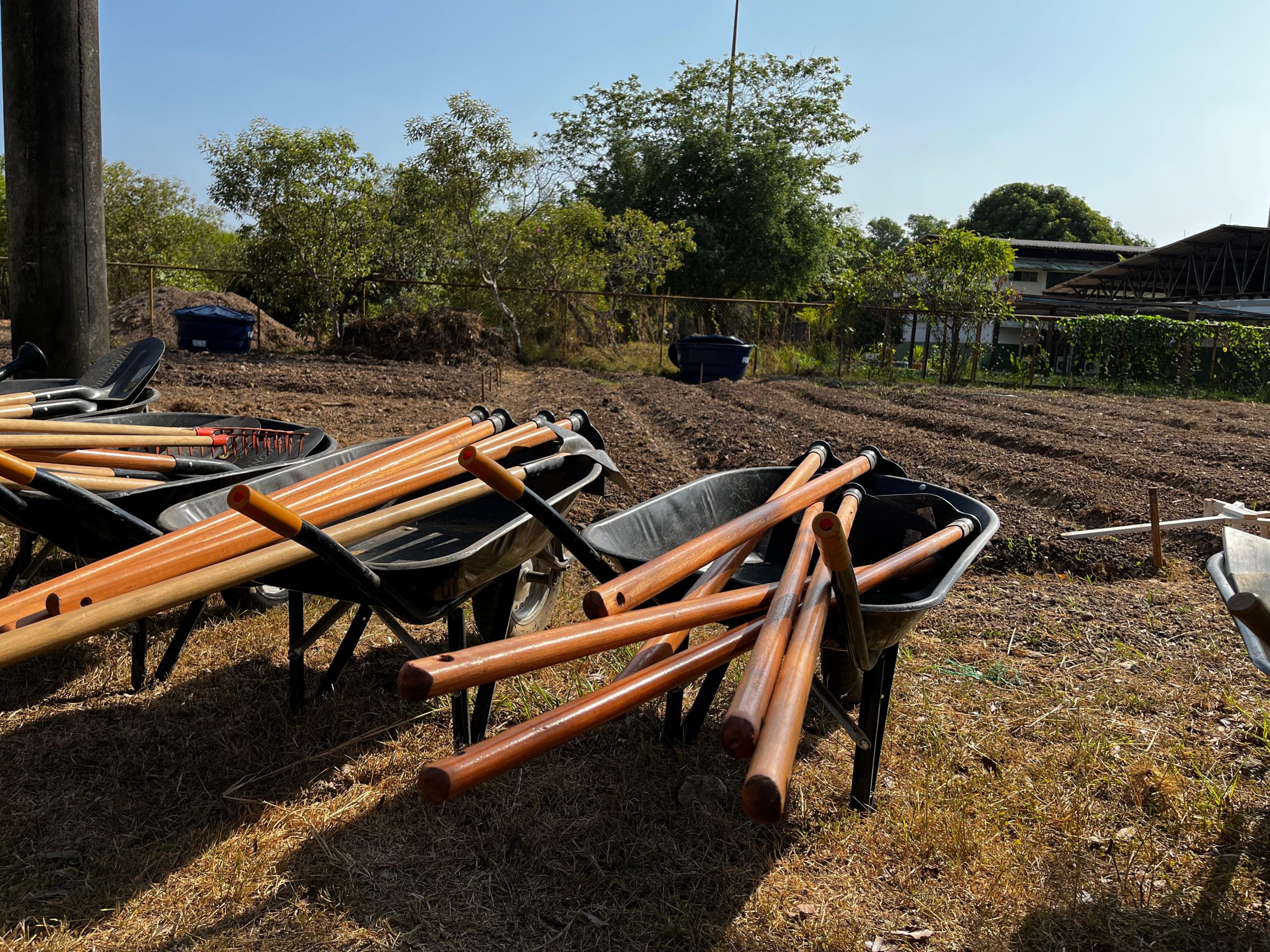 Foto: Reprodução/Prefeitura de Marabá - PA