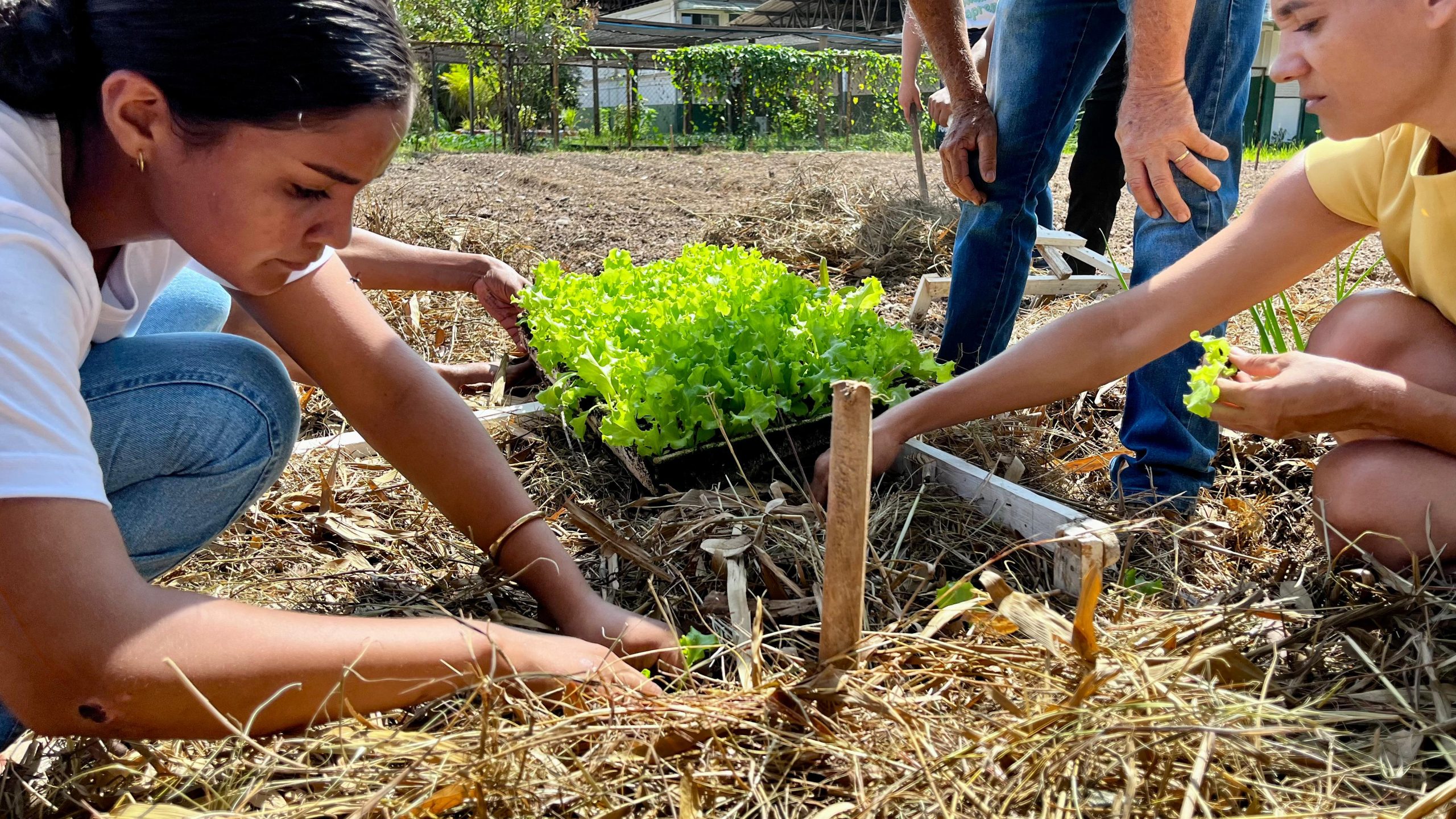 Foto: Reprodução/Prefeitura de Marabá - PA