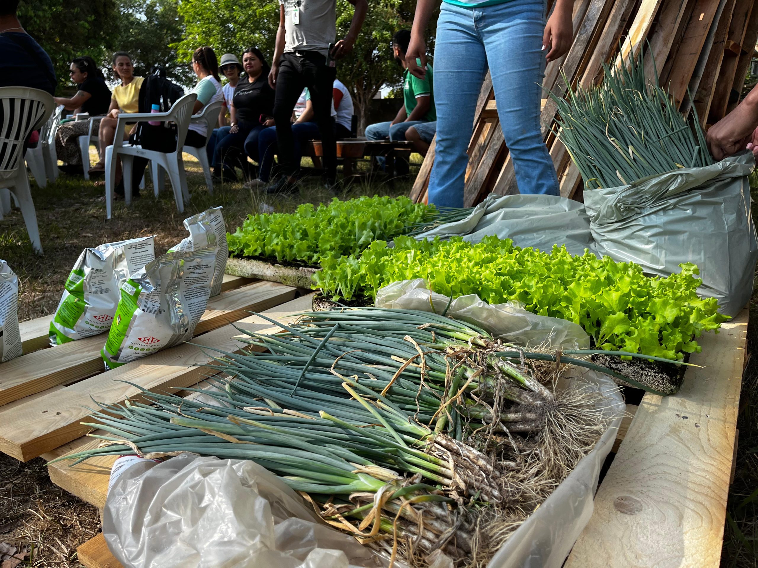 Foto: Reprodução/Prefeitura de Marabá - PA