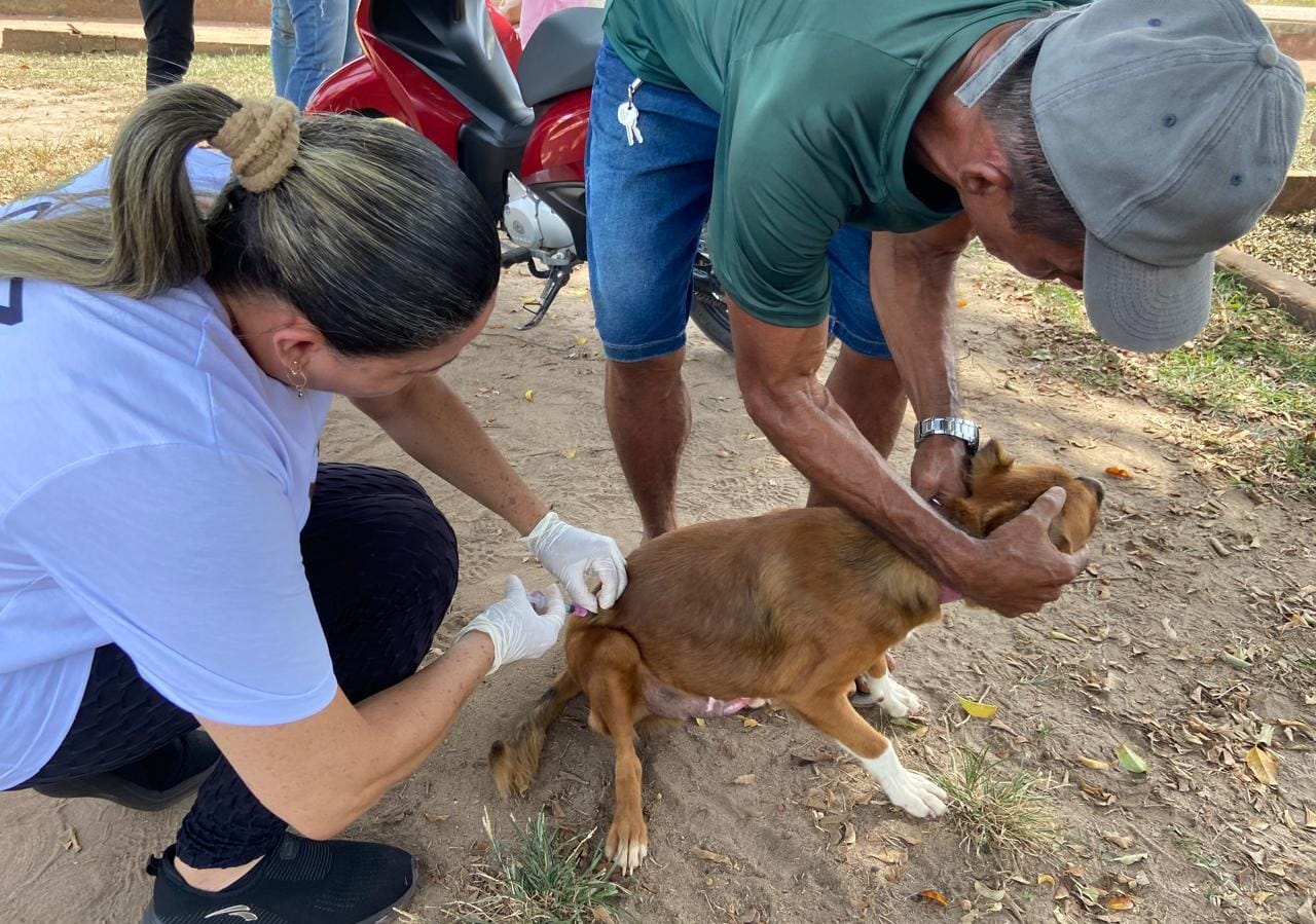  Reprodução/Prefeitura de Marabá - PA