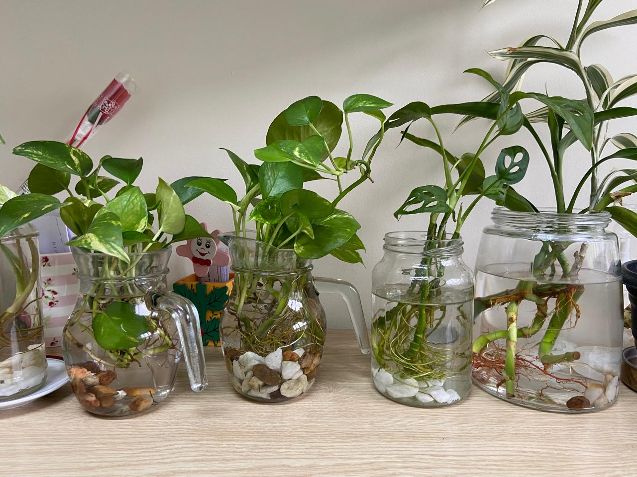  Reprodução/Prefeitura de Marabá - PA