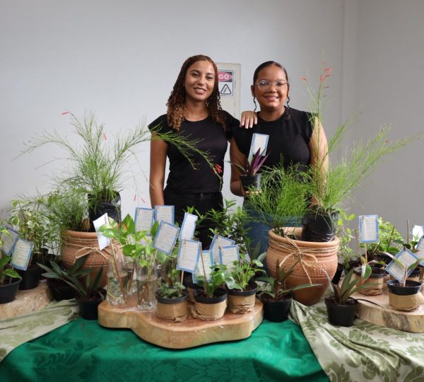  Reprodução/Prefeitura de Marabá - PA