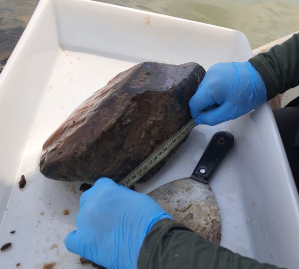  Reprodução/Prefeitura de Marabá - PA