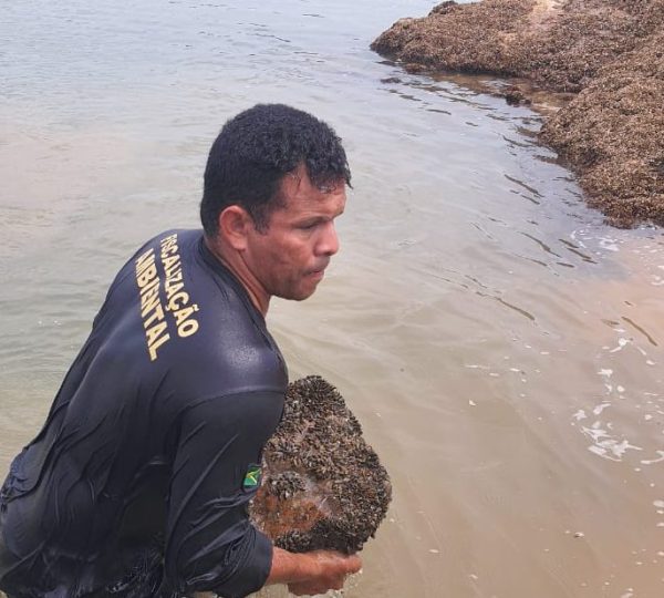  Reprodução/Prefeitura de Marabá - PA