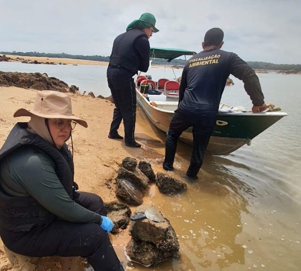  Reprodução/Prefeitura de Marabá - PA