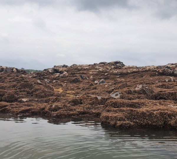  Reprodução/Prefeitura de Marabá - PA