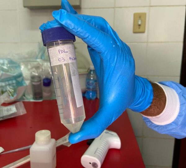  Reprodução/Prefeitura de Marabá - PA