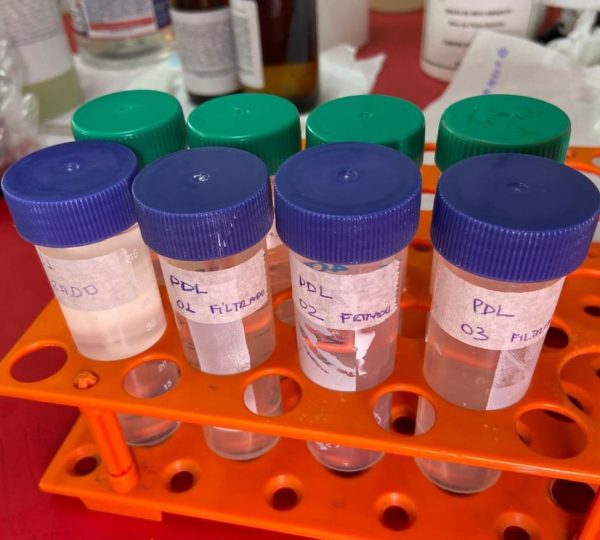  Reprodução/Prefeitura de Marabá - PA