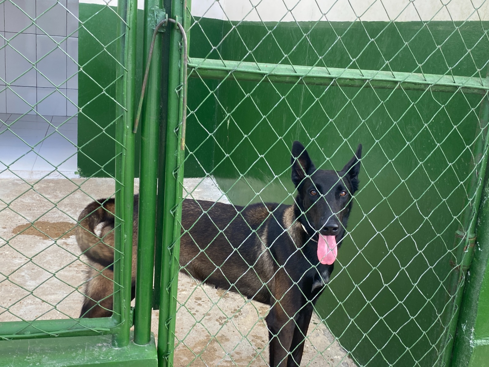  Reprodução/Prefeitura de Marabá - PA