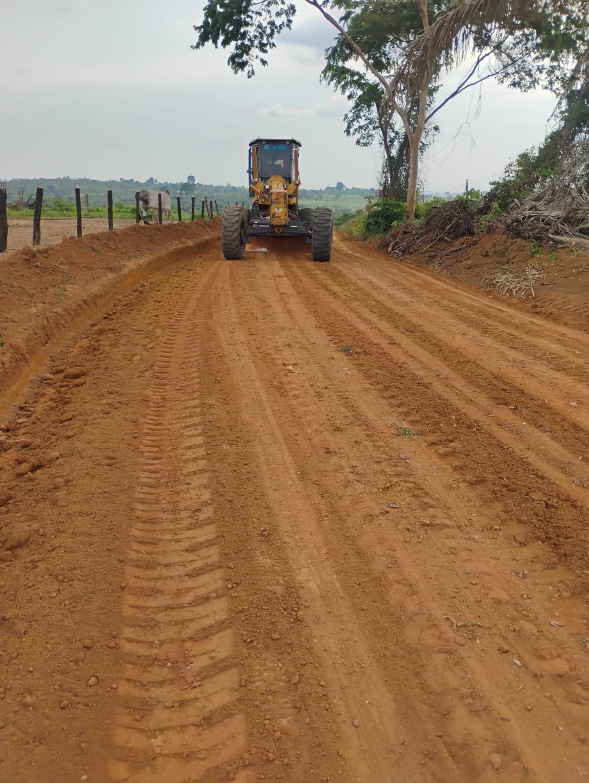  Reprodução/Prefeitura de Marabá - PA