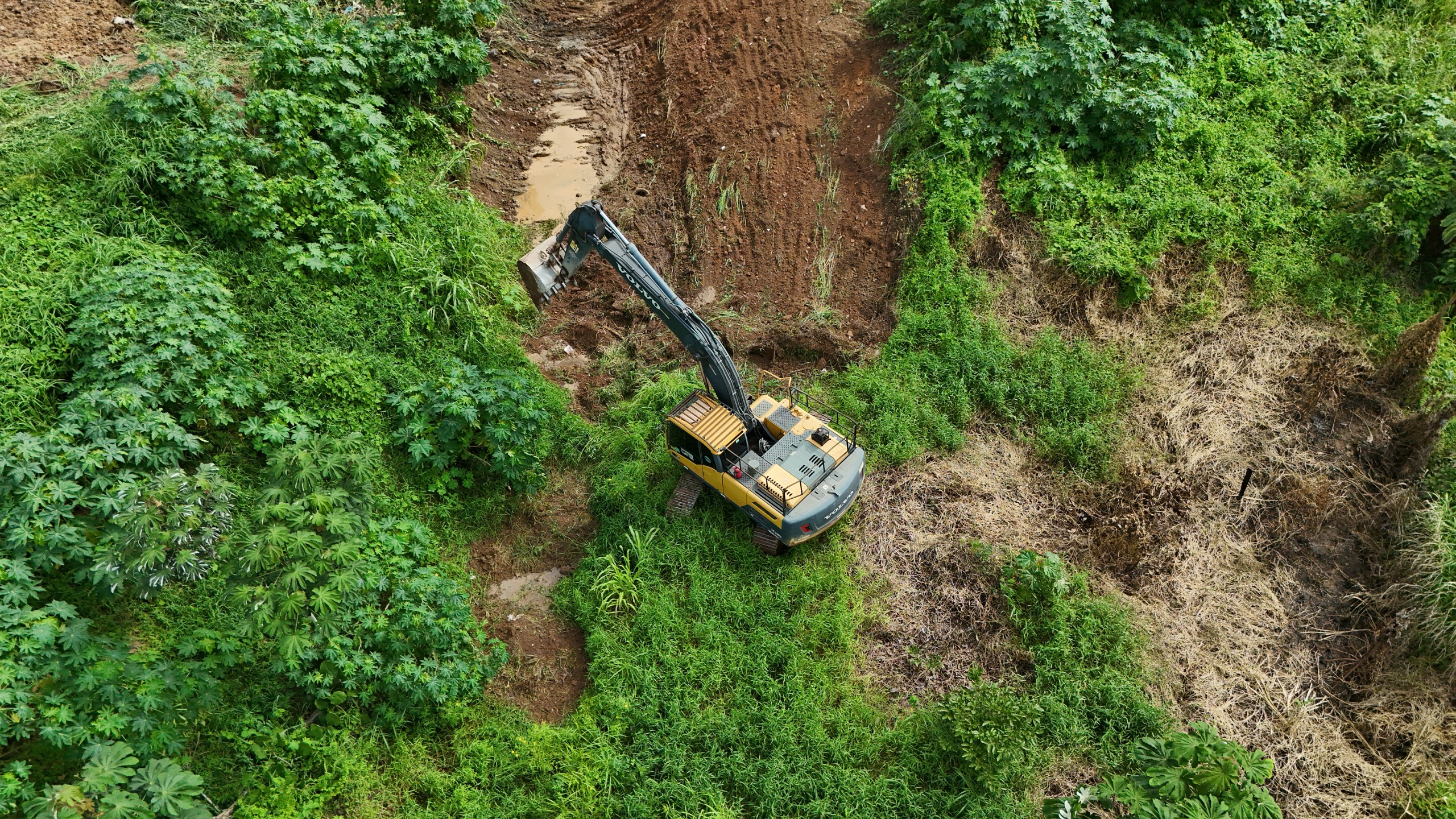  Reprodução/Prefeitura de Marabá - PA