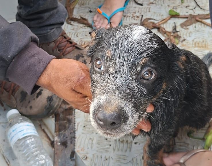 Foto: Reprodução/Prefeitura de Marabá - PA