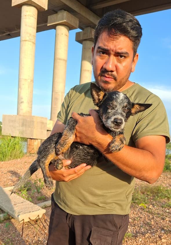 Foto: Reprodução/Prefeitura de Marabá - PA