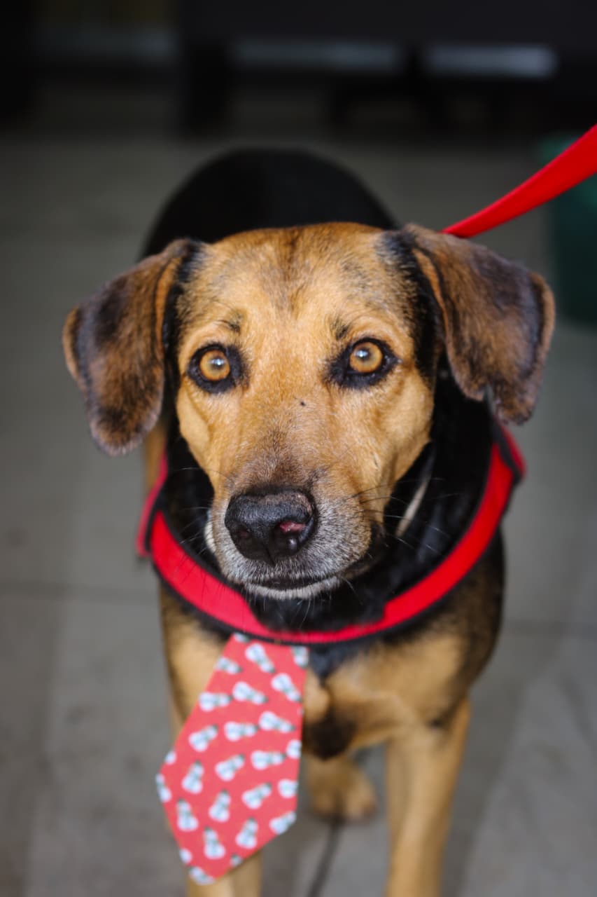 Foto: Reprodução/Prefeitura de Marabá - PA