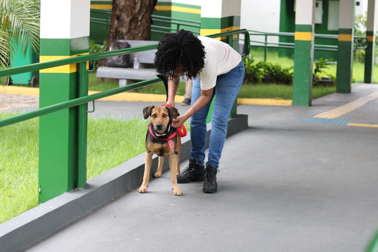 Foto: Reprodução/Prefeitura de Marabá - PA
