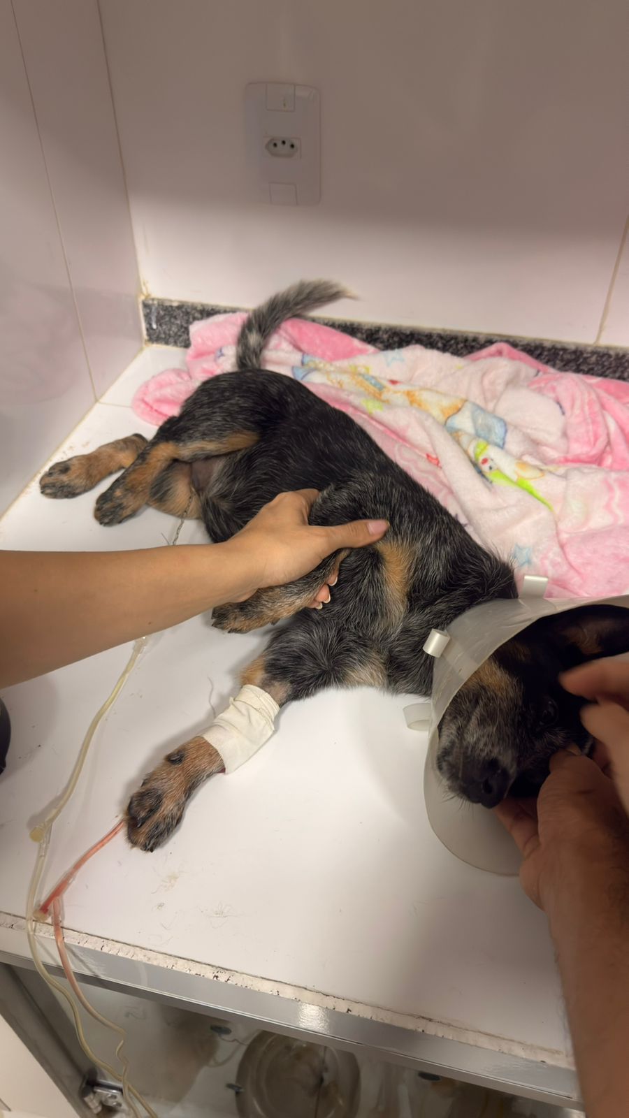 Foto: Reprodução/Prefeitura de Marabá - PA