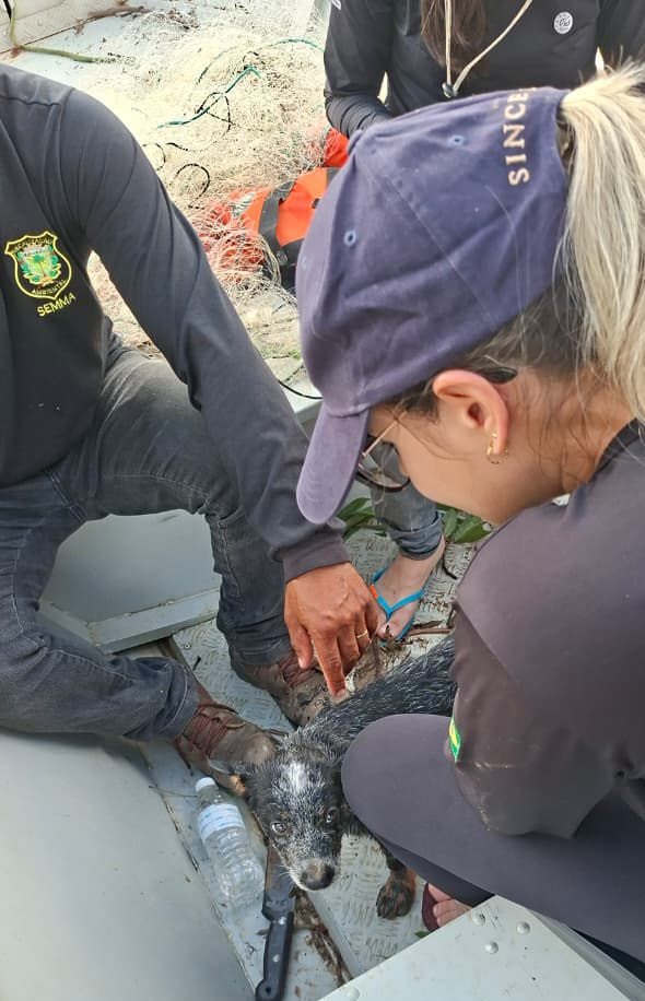 Foto: Reprodução/Prefeitura de Marabá - PA