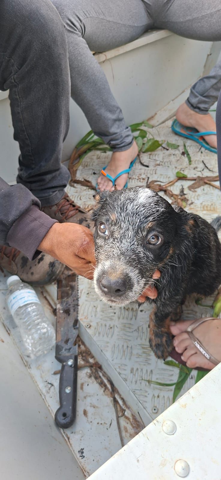 Foto: Reprodução/Prefeitura de Marabá - PA