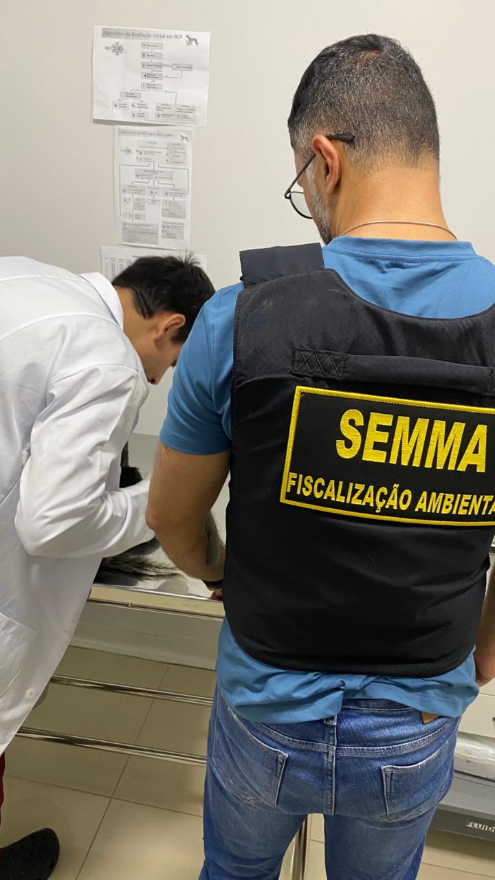 Foto: Reprodução/Prefeitura de Marabá - PA