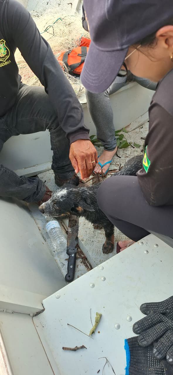 Foto: Reprodução/Prefeitura de Marabá - PA